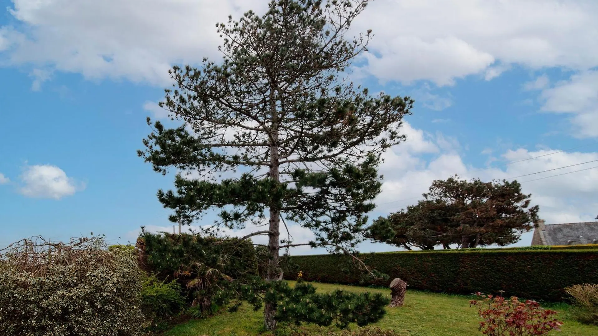 Casa vacanze La Pastourelle - 10Min A Pied De La Plage Saint-Cast-le-Guildo